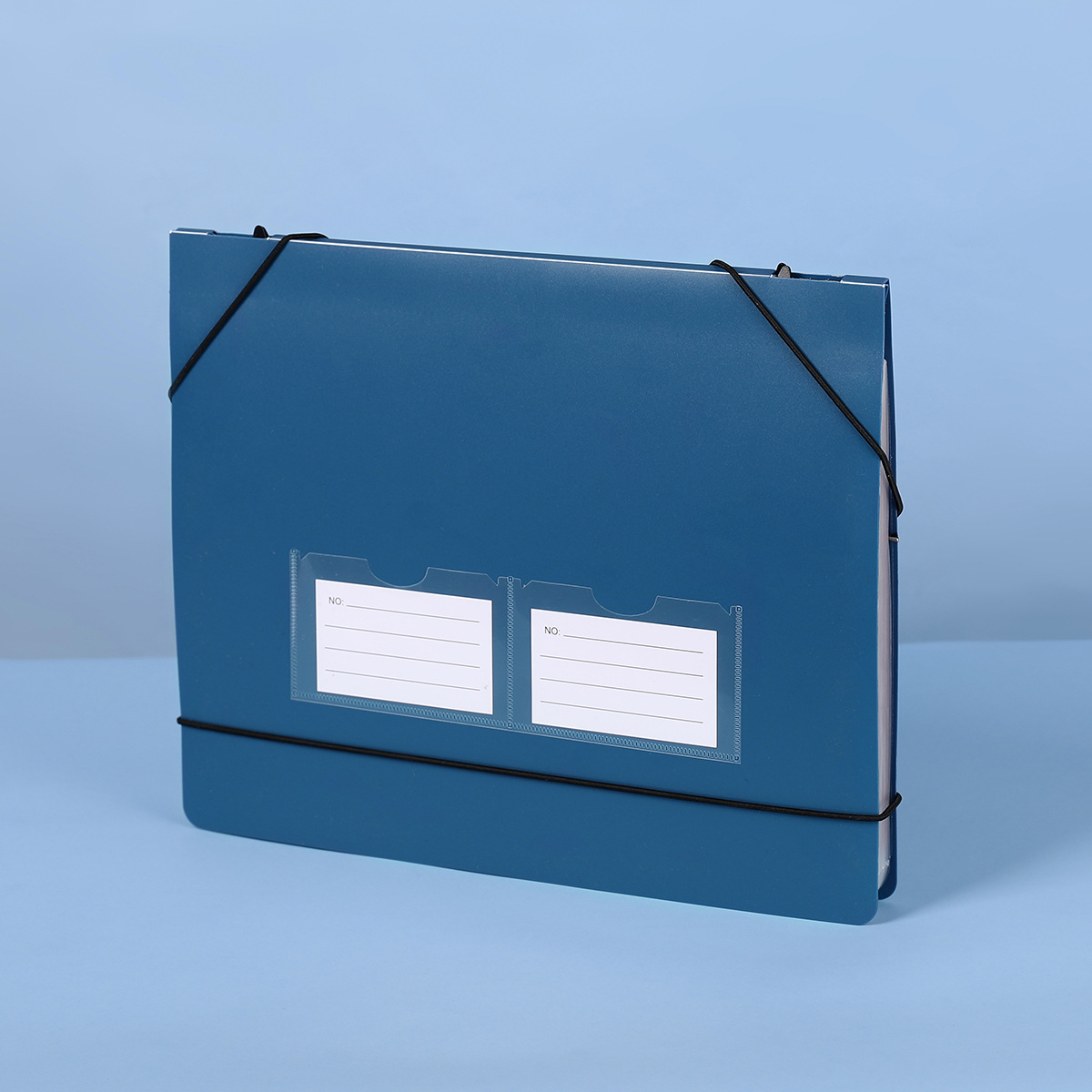 Cartella Portadocumenti a Fisa - File Folder Hanging recensione e prezzo